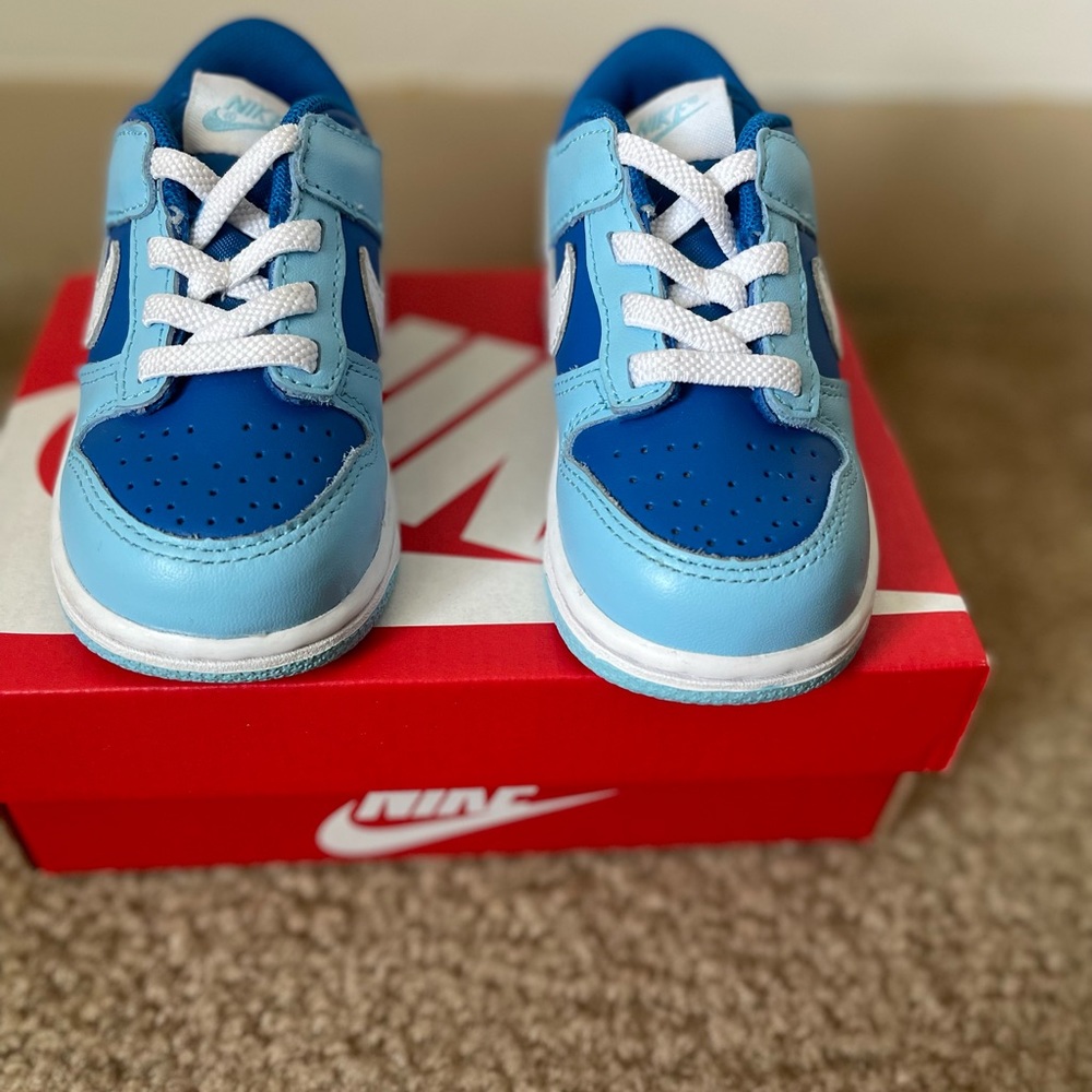 Toddler Argon Dunks